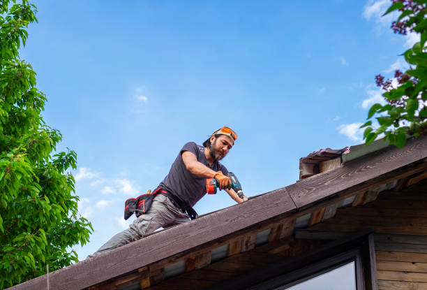 Best Storm Damage Roof Repair  in Edgewater, FL